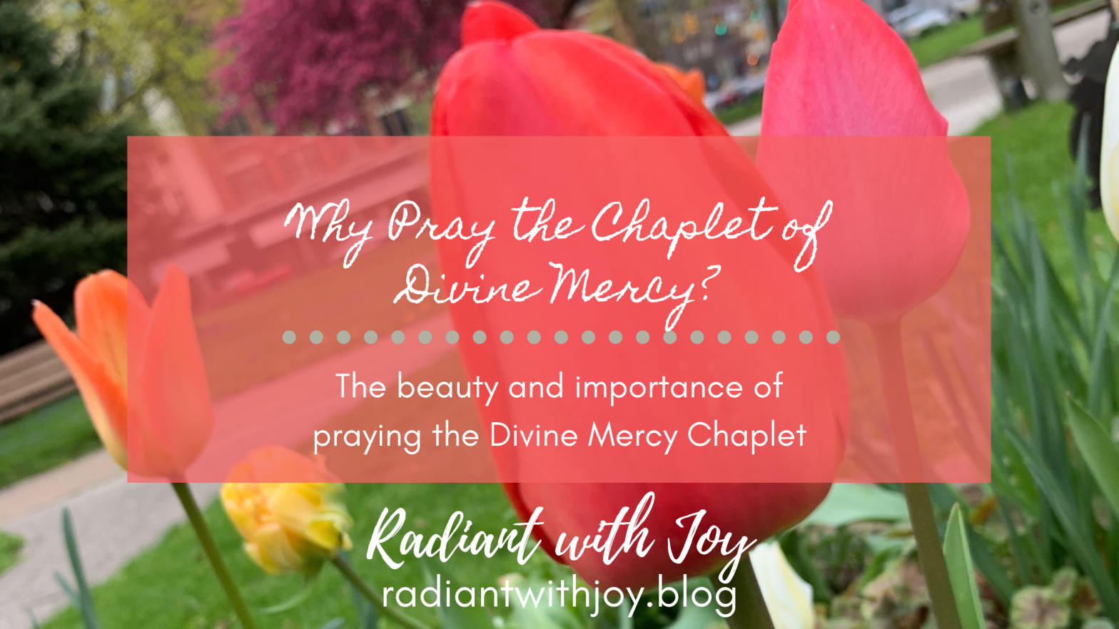 Why Pray the Chaplet of Divine Mercy